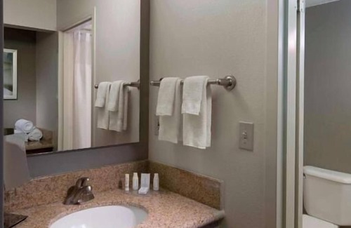 Boca Raton Complejo | Making The Best Memories Along The Way! Pets Are Welcome, Free Parking, Pool!
