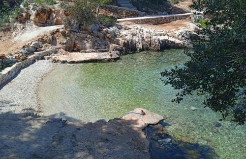 Cove Basina (Jelsa) Apartamento | Mala Basina -Maslina