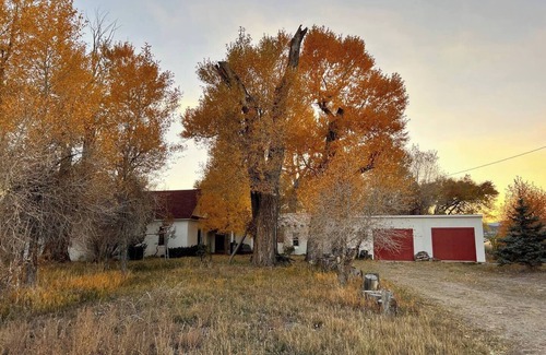 Red Wing Casa | Malachite Retreat