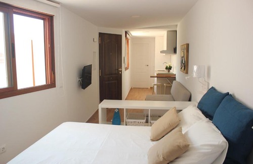 Lagunillas Apartamento | Malaga Center Lagunillas Apartments
