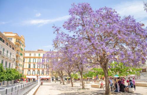 El Ejido Apartamento | Malaga Centre Apartment with Parking