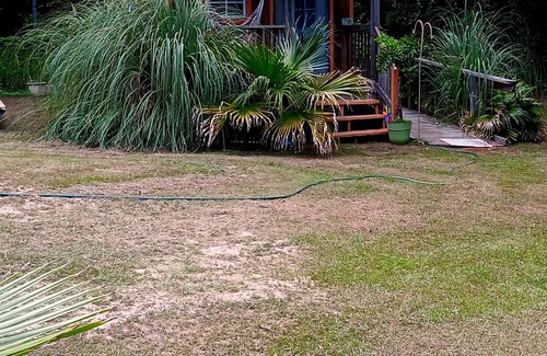 Florida Panhandle Cabina | Malakai campground different by design⛺ little jo cabin wheelchair accessible