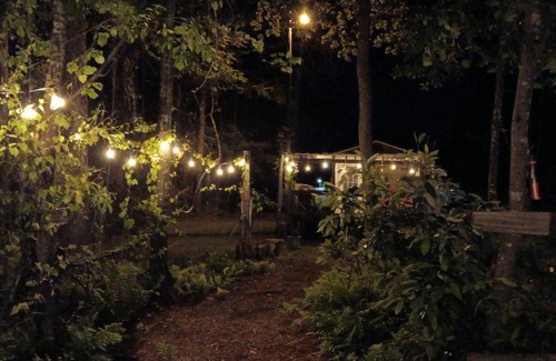 Florida Panhandle Cabina | Malakai campground different by design⛺ little jo cabin wheelchair accessible