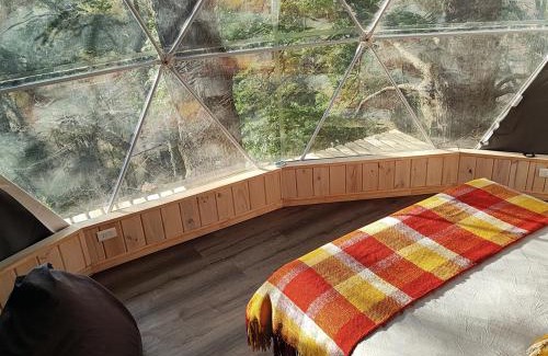 Malalcahuello Otro | Malalcahuello Eco Glamp
