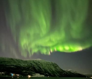 Skalsvik Casa | Malangen Arctic Sealodge Cabin 10