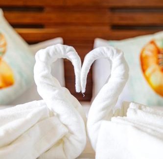 Dhiffushi Cama Y Desayuno | Maldivine Stay Dhiffushi