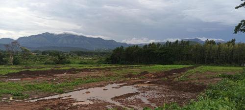Chikkamagaluru Casa | Malgudi Mane Homestay