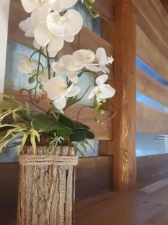 Aosta Apartamento | Malherbes