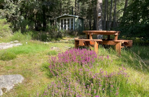 Boat of Garten Cabaña | Mallard - sleeps 6 guests in 3 bedrooms