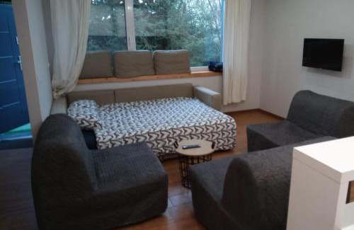 Sroda Wielkopolska Apartamento | Maly apartament w zieleni blisko jeziora