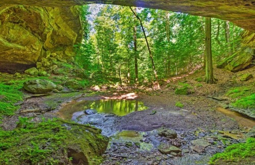 Mammoth Cave Casa | Mammoth Cave Cabin Rentals 7