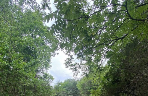 Horse Cave Apartamento | Mammoth Cave Campsite Bliss