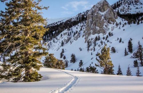 Mammoth Lakes Apartamento | Mammoth View Villas 30