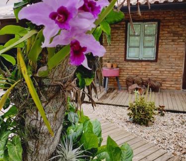 Mariscal Apartamento | Maná Mariscal Hospedagem