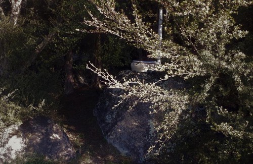 Christchurch District Otro | Manaaki Mai, Rustic Retreat Bush Cabin