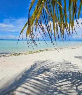 Gili Air Cabina | Mandala Beach Healing House or Rooms