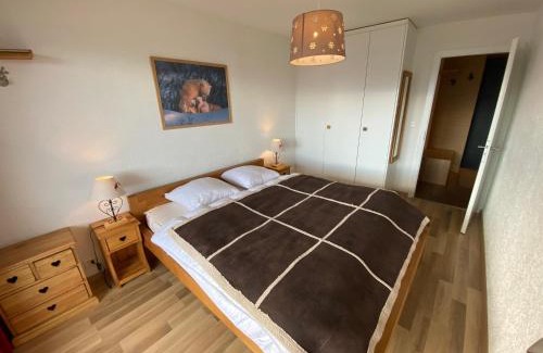 Randogne Apartamento | Mandarin A8