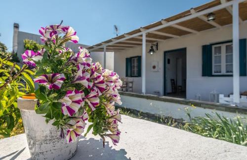 Mandrakia Casa | Mandrakia Bliss House