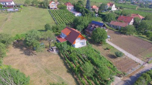 Badacsony Apartamento | Mandula Apartmanok