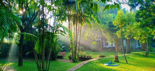 Negombo Casa | Mango House Japanese Guest House