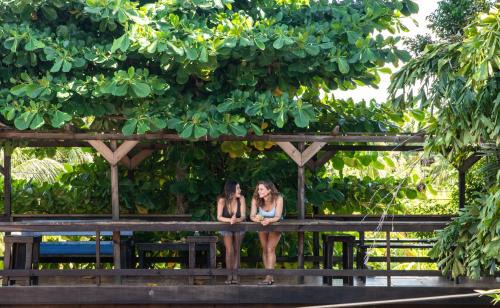 Isla de Utila Hotel | Mango Inn Resort