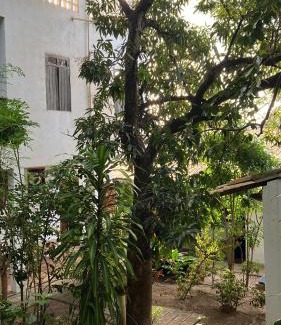 Mangue Seco Casa | Mangue Seco Lodge - Experiência Gastronômica
