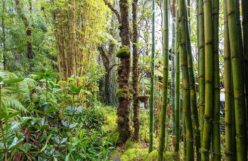 Royal Hawaiian Estates Cabina | Manini Hale: 5 Min to Volcano, Cozy A-Frame Cabin W/HOT TUB and INFRARED SAUNA