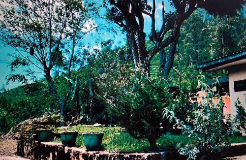 Lindula Casa | Mano illam