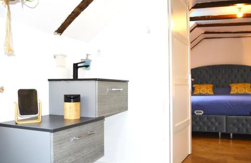 Saint-Avertin Casa | Manoir Drissia - Tours Centre, France