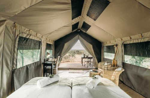 Musina Otro | Mapesu Wilderness Tented Camp