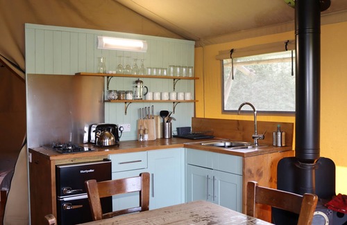 Tiverton Cabina | Maple, Birch and Oak Safari Tent, three family friendly tent in Devon