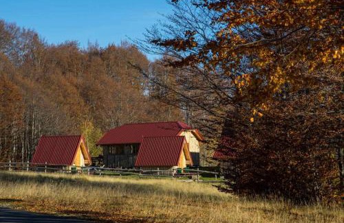 Zabljak Otro | Maple bungalows