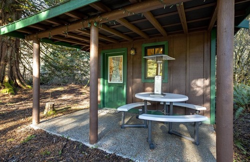 Maple Falls Cabina | Maple Falls Cabin #72 - Sleeps 2 - Pets Ok