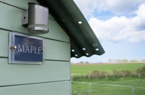 Banningham Otro | Maple Hut Four Acre Farm