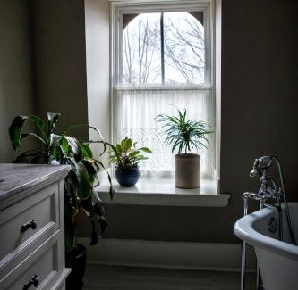 Dorchester Cama Y Desayuno | Maplehurst Manor Bed and Breakfast