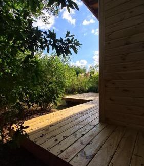 Punta Negra Chalet De Esquí | Mapuche de Puntanegra