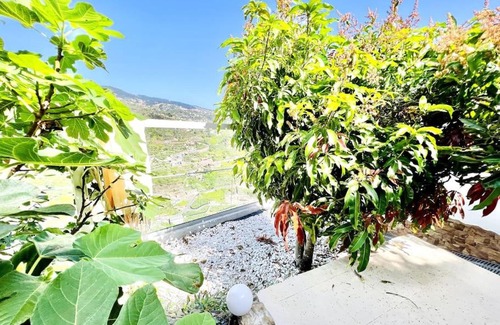 Tabua Casa | Mar a Vista by Your Madeira Rentals
