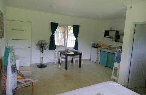 Samana Apartamento | Mar Azul, Las Galeras