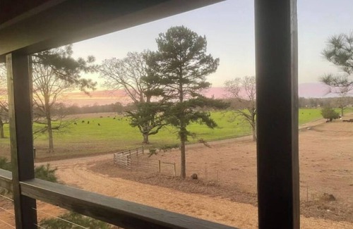 Magnolia Cabina | Mar I-Wilya Treehouse, 18ft off of the ground sits on 54 acres.