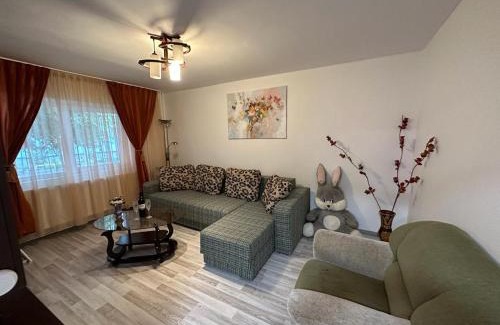 Fagaras Apartamento | Mara