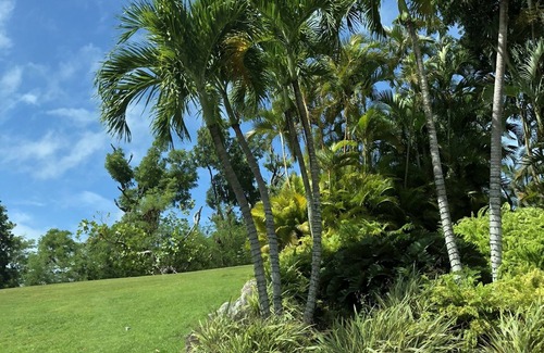 Candelero Abajo Condominio | Maralago Palmas del Mar - Slice of Paradise