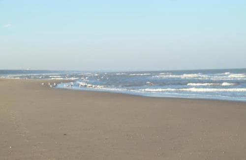 Municipality of Noordwijk Casa | Maralong Noordwijk
