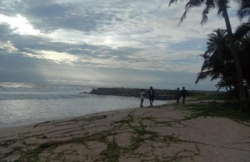 Kadakkarappally Casa | Marari beach homestay
