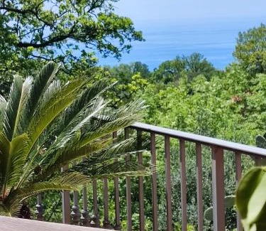 Maratea Apartamento | Maratea nel verde