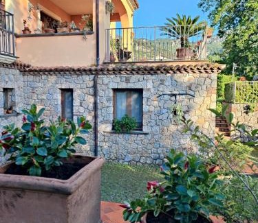 Maratea Apartamento | Maratea nel verde