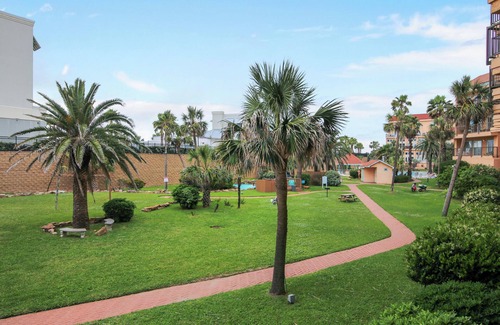 Galveston Condominio | Maravilla 233 - Indigo Flamingo