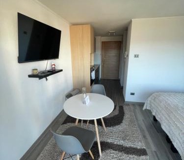 Concepcion Apartamento | Maravilloso Depto. Estudio 1D1B