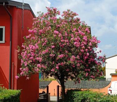 Borgo Roma Apartamento | Marco Apartment Bilocale Verona Ospedale Borgo Roma e Fiera