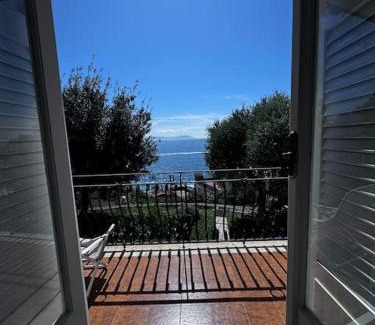 Posillipo Casa | marechiaro ibiscus
