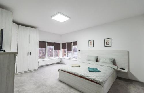 Bistrita Villa | Mareshal Residence
